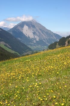 Bergwiese 04