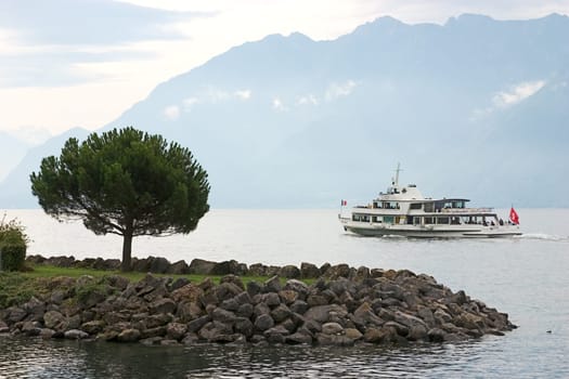 Tree on Lake Geneva 05