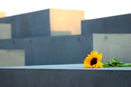 Holocaust Memorial 31