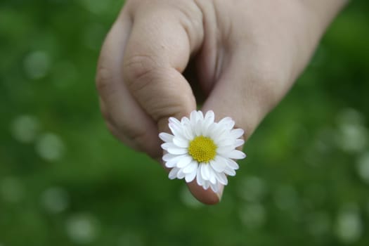 For you,mom