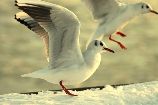 Departure