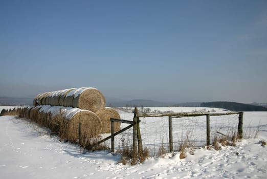 Bale of hay