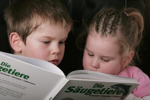 Further education