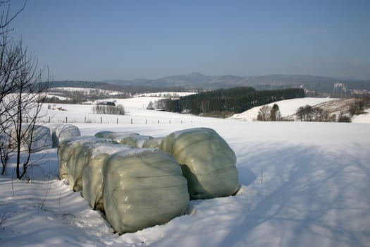 Bale of hay