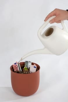 Money in the flower pot is poured Money must grow