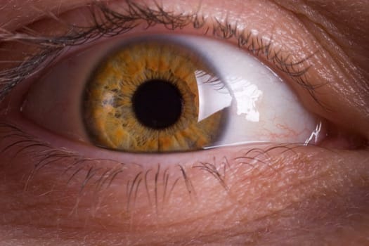 Close-up of an eye