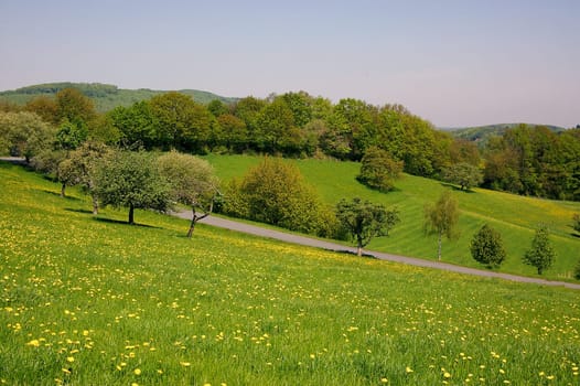 In the countryside