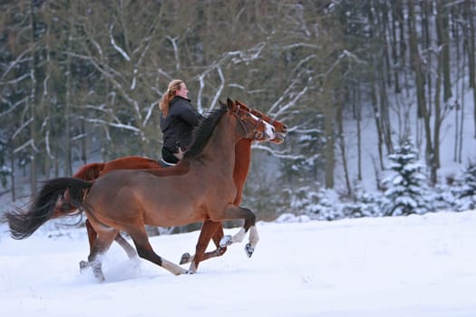 Apparently spring is cancelled. it's winter again with us but you can also have fun there -)
