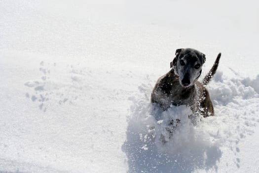 Attention snowdrift