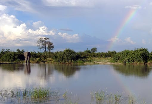 Rainbow mood