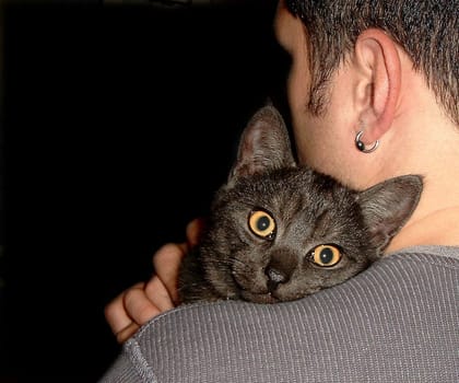 Affection