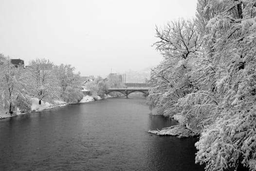 This morning on the Limmat...