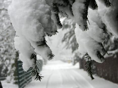 Today,March 5 in Schleswig-Holstein. No sign of spring