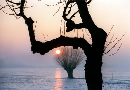 Evening