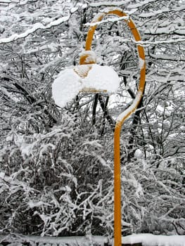Snow Hood