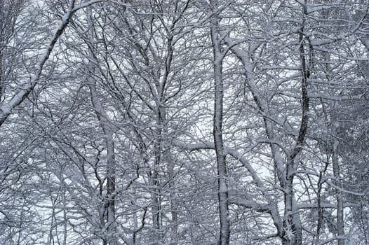 Frozen on