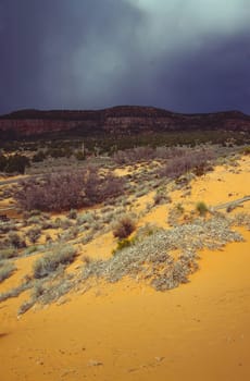 Coral Pink Sand Dunes