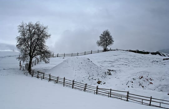 fenced