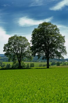 Summer idyll