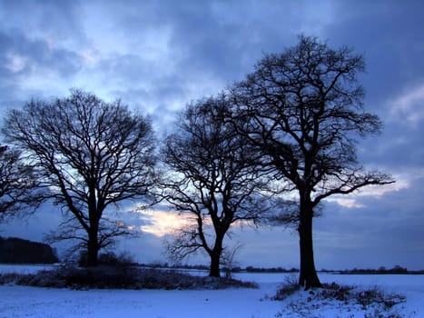 Winter evening