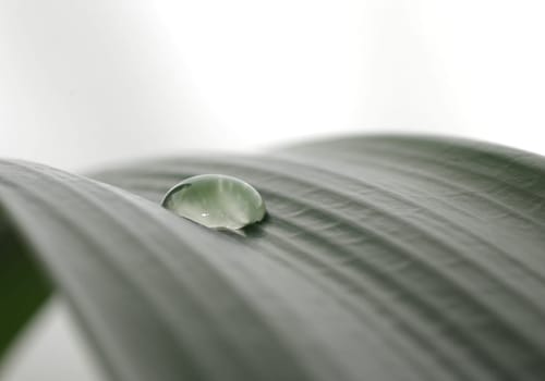 One drop