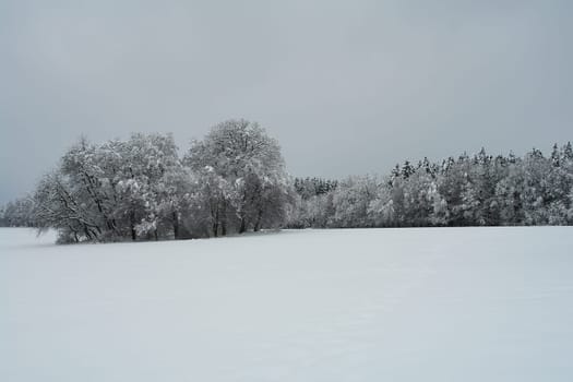 ... finally real winter
