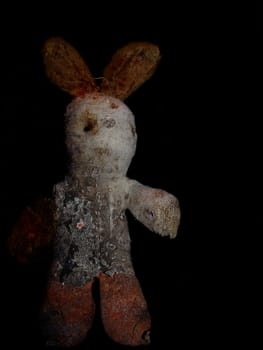 Rabbit Mummy