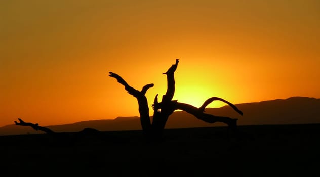 Sunset in the Namib Desert