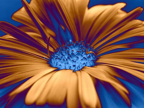 Marguerite