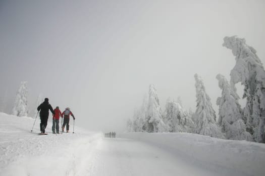 Cross-country skiing