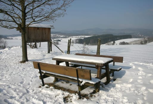 Winter