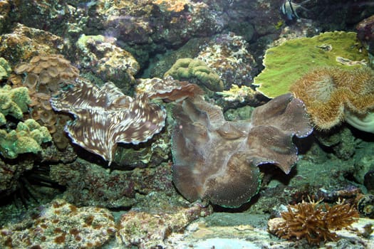 Aquarium Cologne Zoo