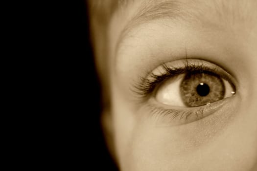 The eye