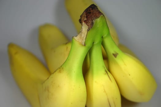 Some ripe bananas