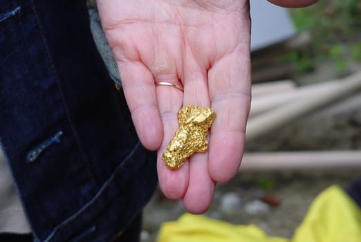 Gold nugget