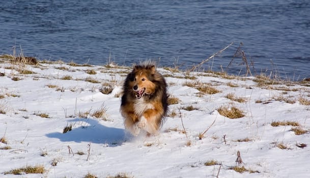 Gilan runs...