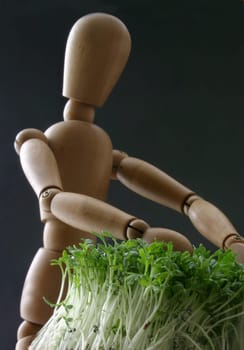 My gardener