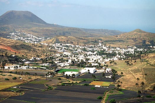 Valley of 1000 Palm Trees