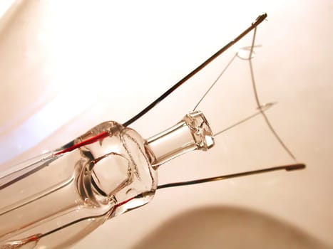 Bulb 05