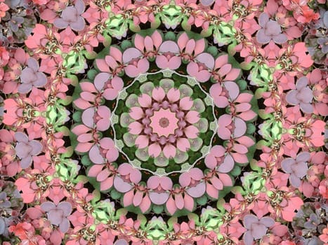Hedge Kaleidoscope
