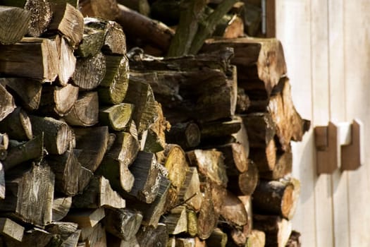 Winter wood