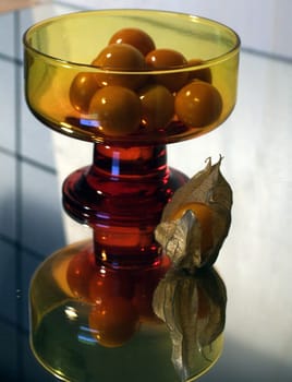 Physalis