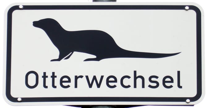 Otter change