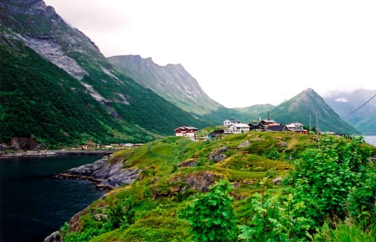 Senja