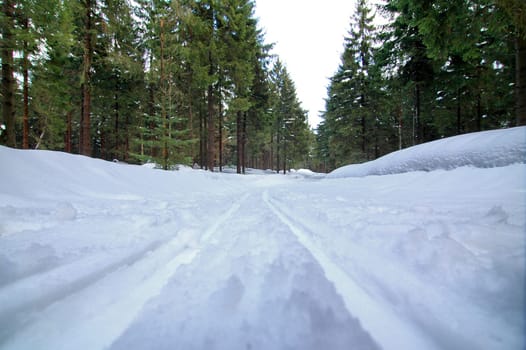 Cross-country ski trail