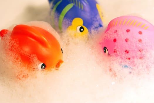 Bathing is fun