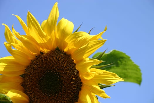 Maybe that's how spring can be enticed... :-)
