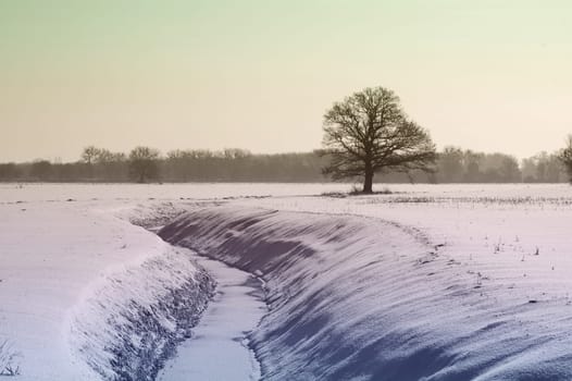 So,now I hope this was really the last walk in the snow today. It has thawed mightily and you can slowly see where the roads and paths actually are.