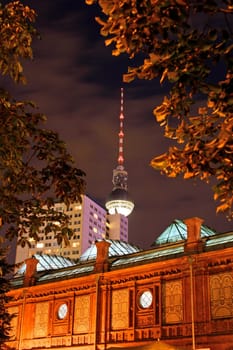 Berlin Radio Tower through trees