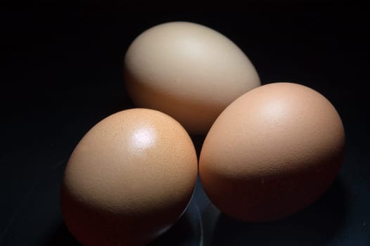 Chicken egg 04